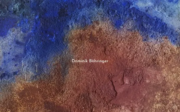 dominikboehringer.de