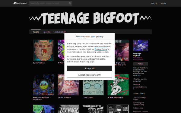 teenagebigfoot.bandcamp.com