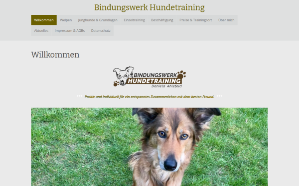 bindungswerk-hundetraining.de