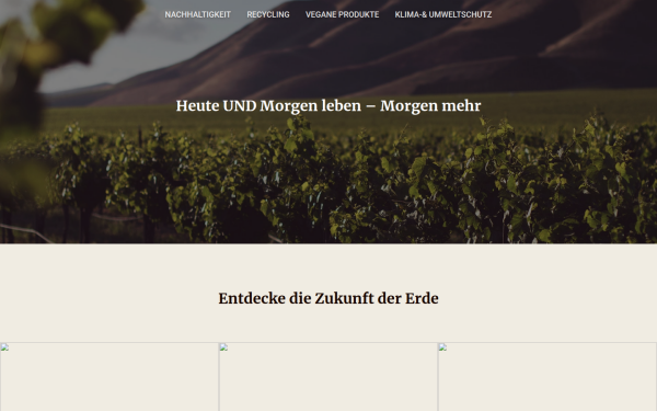 morgen-mehr.de