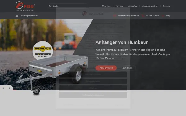 www.feig-online.de
