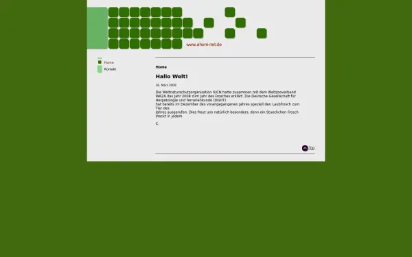 ahorn-net.de