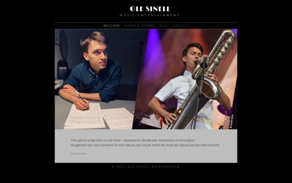 www.olesinell.de