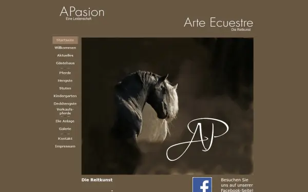 apasion.de