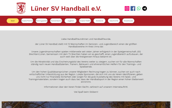 www.lsv-handball.com
