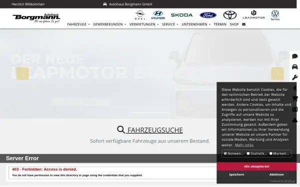 www.borgmann-autohaus.de