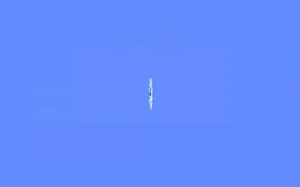teledeclaration.cnas.dz