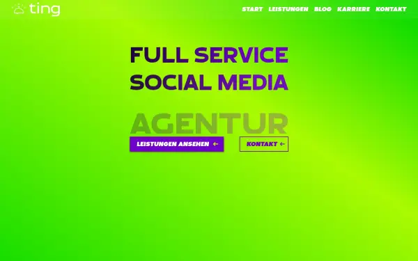 ting-im-netz.de