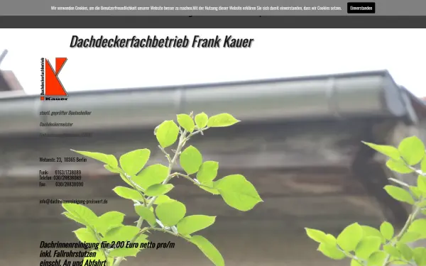 dachrinnenreinigung-preiswert.de
