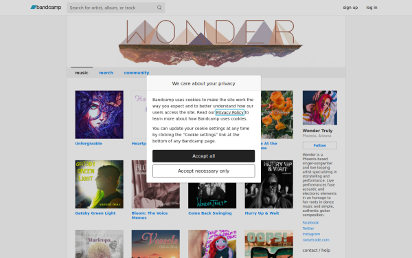 wondertruly.bandcamp.com