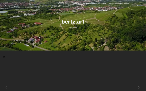 bertz.art