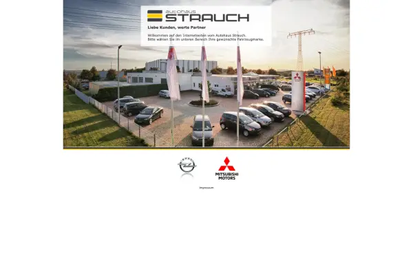 autohaus-strauch.de
