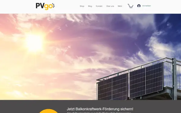 www.pvgo.de