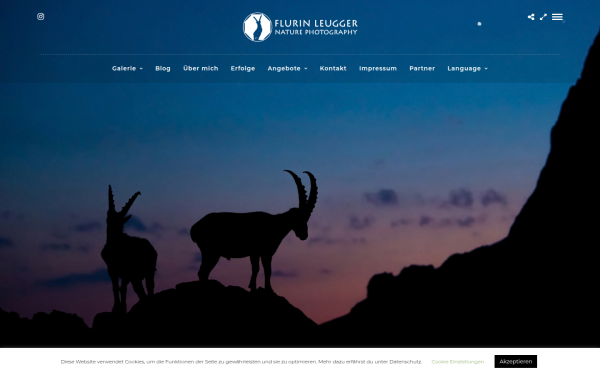 flurinleugger.ch