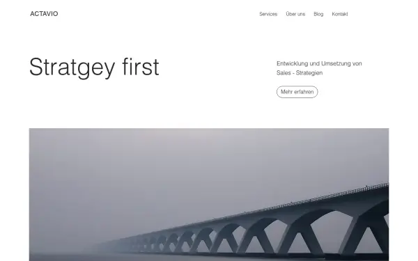 www.actavio.de