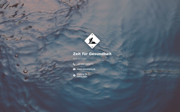 www.zfg-teike.de