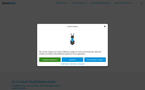 blueants.de