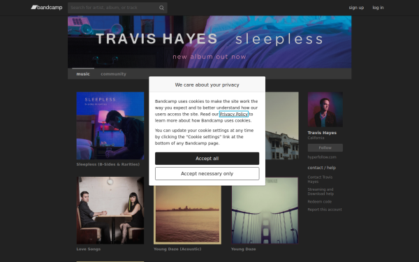iamtravishayes.bandcamp.com
