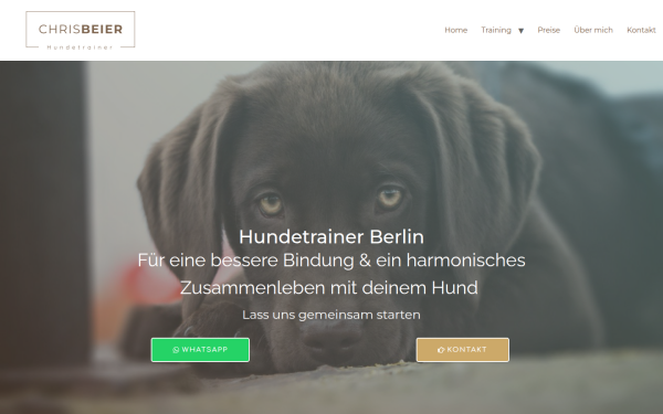 deinhundetrainer.berlin