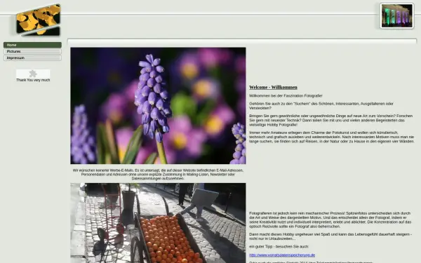 baradlays.de