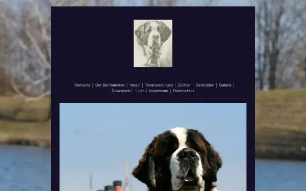 www.bernhardiner-club.de