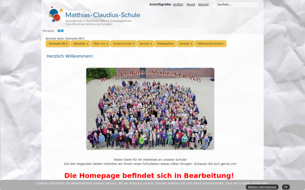 mcs-reinfeld.de