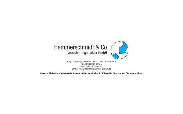 hammerschmidt-gmbh.de