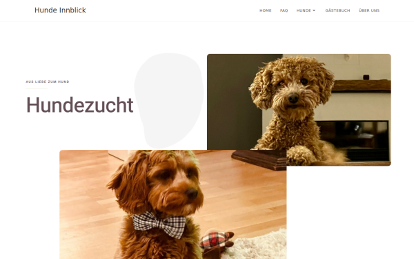 hunde-innblick.at