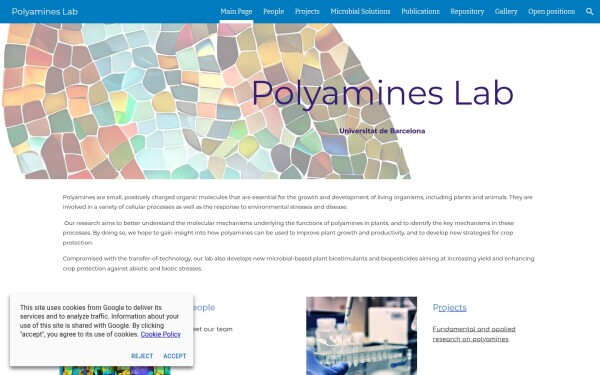 www.polyamines.org