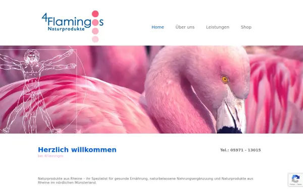 www.4flamingos.de