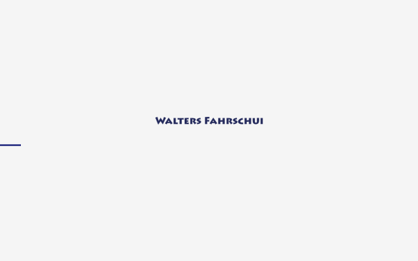 walters-fahrschui.de