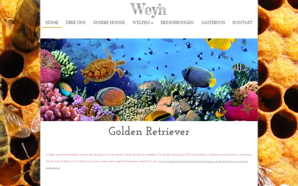 golden-retriever-weyh.de