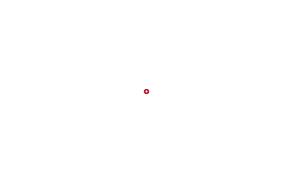 www.gruebele-optik.de