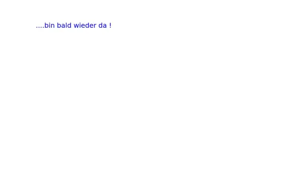 badnauheimer-salontaenzer.de