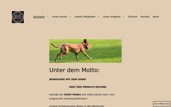 dvg-hilden.de