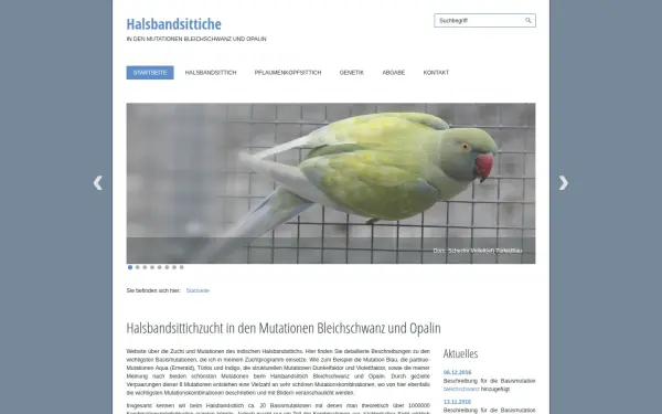 www.halsbandsittiche.de