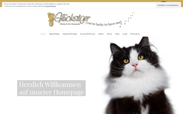 glueckstiger.de