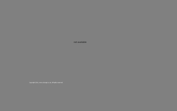 schungit.co.at