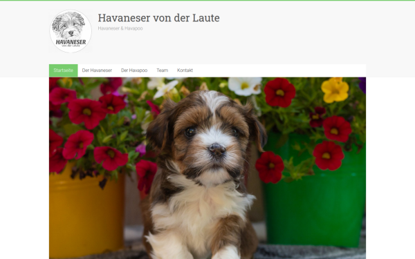 havaneser-von-der-laute.de