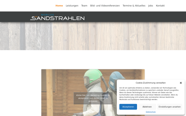 trockeneisreinigung.at