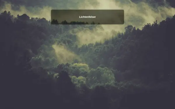 lichtenfelser.de