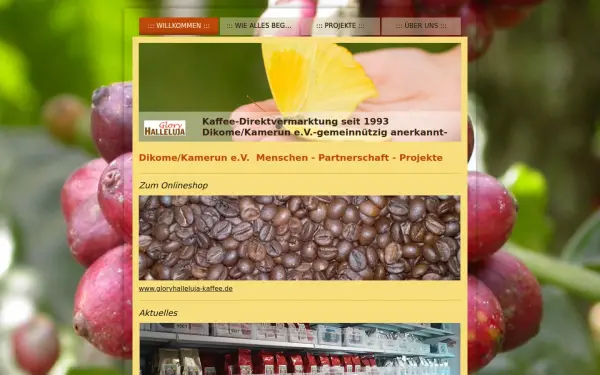 www.dikome-kamerun.de