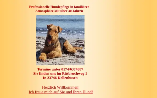 mein-airedale.de