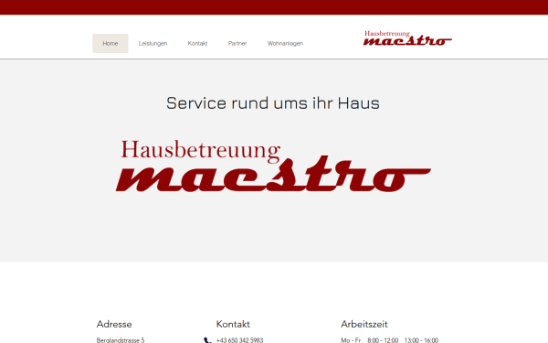 www.maestro-pinzgau.at