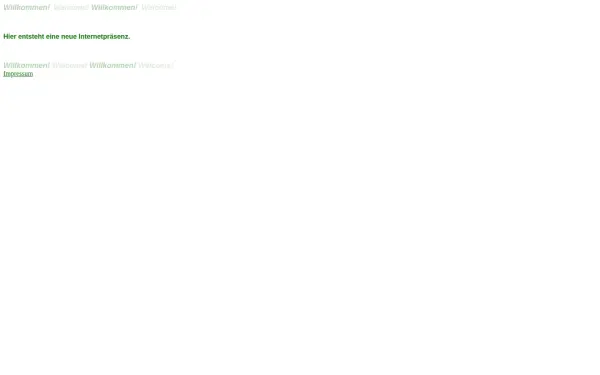 mainzunddeinsplan.de