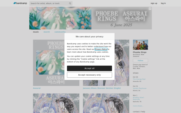 phoeberings.bandcamp.com