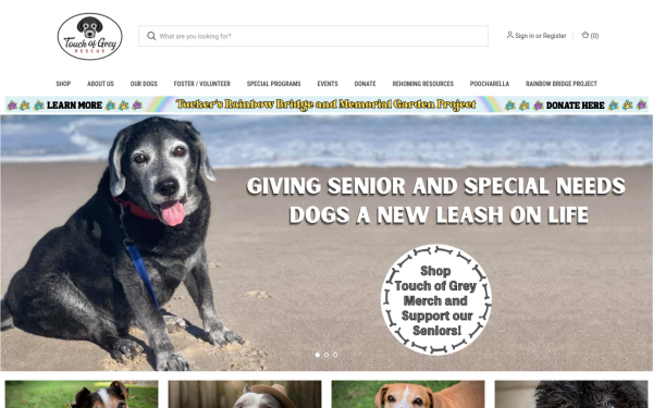 touchofgreyrescue.org