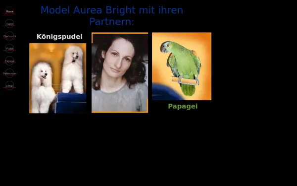aurea-bright.de