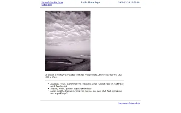 hannah-ostendorf.de