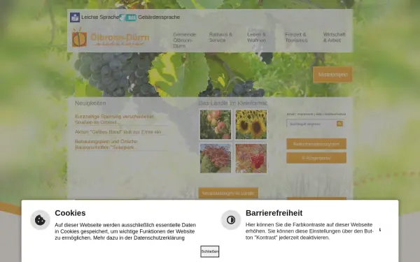 www.oelbronn-duerrn.de